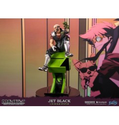 Cowboy Bebop - Statue 1/8 Jet Black 30 cm