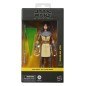 Star Wars : The Clone Wars Black Series - Figurine Qunlan Vos 15 cm