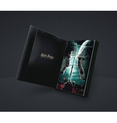 Harry Potter - Cartes à jouer Collector's Set Limited Edition