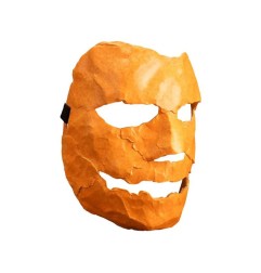 Halloween - 2007 Mask Asylum