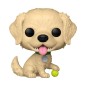 Funko-Legacy - POP! Pets Vinyl Figure Golden Retriever 9 cm