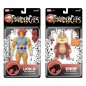 Thundercats - Deluxe Action Figure Wave 03 Lion-O (Toy Recolor) 18 cm