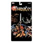 Thundercats - Deluxe Action Figure Wave 03 Lion-O (Toy Recolor) 18 cm