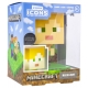 Minecraft - Veilleuse 3D Icon Alex