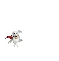 Superman - (2025) Action Figure  & Krypto 21 cm