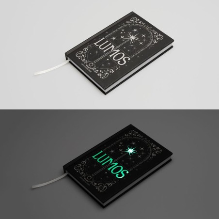 Harry Potter - Carnet de notes A5 Premium avec la lumière Lumos Maxima