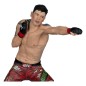 UFC - Statuette Brandon Moreno 16 cm