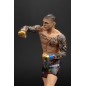 UFC - Posed PVC Statue Dustin Poirier 16 cm