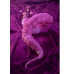 Arcanadea - Plastic Model Kit Meltina 20 cm