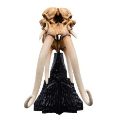 Le Seigneur des Anneaux - Statuette Skull of a Mumak 15 cm
