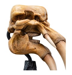Le Seigneur des Anneaux - Statuette Skull of a Mumak 15 cm