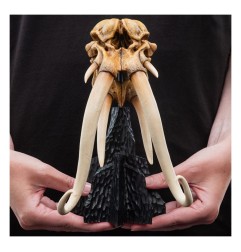 Le Seigneur des Anneaux - Statuette Skull of a Mumak 15 cm