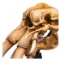 Le Seigneur des Anneaux - Statuette Skull of a Mumak 15 cm