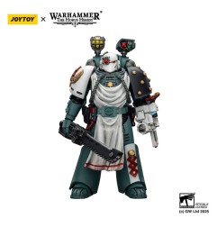 Warhammer - 40,000: Sons of Horus Action Figure Legion Apothecary 12 cm