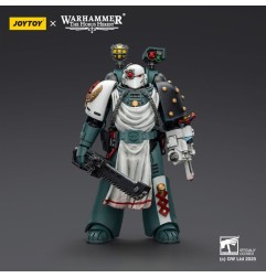 Warhammer - 40,000: Sons of Horus Action Figure Legion Apothecary 12 cm