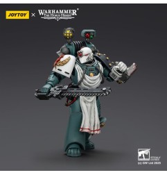 Warhammer - 40,000: Sons of Horus Action Figure Legion Apothecary 12 cm