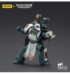 Warhammer 40k: Sons of Horus - Figurine Legion Apothecary 12 cm