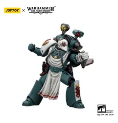 Warhammer - 40,000: Sons of Horus Action Figure Legion Apothecary 12 cm