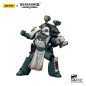 Warhammer 40k: Sons of Horus - Figurine Legion Apothecary 12 cm