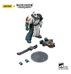 Warhammer 40k: Sons of Horus - Figurine Legion Apothecary 12 cm