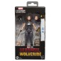 Marvel - Deadpool & Wolverine  Legends Action Figure X.23 15 cms