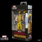 Marvel - Deadpool & Wolverine  Legends Action Figure Wolverine 15 cm