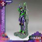 Neon Genesis Evangelion - Figurine Model Kit AMK Pro Series Eva-01 Test Type 20 cm
