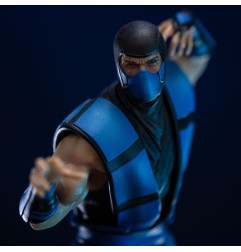 Mortal Kombat - Art Scale Statue 1/10 Sub-Zero (Ninjas Collection) heo Exclusive 21 cm