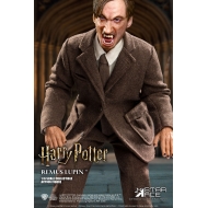 Harry Potter - Figurine My Favourite Movie 1/6 Remus Lupin Deluxe Ver. 30 cm