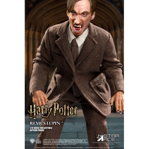 Harry Potter - Figurine My Favourite Movie 1/6 Remus Lupin Deluxe Ver. 30 cm