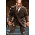 Harry Potter - Figurine My Favourite Movie 1/6 Remus Lupin Deluxe Ver. 30 cm