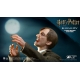 Harry Potter - Figurine My Favourite Movie 1/6 Remus Lupin Deluxe Ver. 30 cm