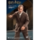 Harry Potter - Figurine My Favourite Movie 1/6 Remus Lupin Deluxe Ver. 30 cm