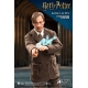 Harry Potter - Figurine My Favourite Movie 1/6 Remus Lupin Deluxe Ver. 30 cm