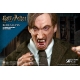 Harry Potter - Figurine My Favourite Movie 1/6 Remus Lupin Deluxe Ver. 30 cm