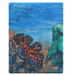 Ultimate Guard RTE - Boulder 100+ Coral Places Seablue Hush