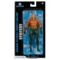 DC Comics - DC Multiverse Action Figure  Aquaman (Endless Winter) (Blister Card) 18 cm