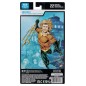 DC Comics - DC Multiverse Action Figure  Aquaman (Endless Winter) (Blister Card) 18 cm