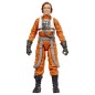Star Wars - : The Mandalorian & Grogu Black Series Action Figure Colonel Ward 15 cm