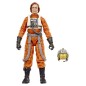 Star Wars - : The Mandalorian & Grogu Black Series Action Figure Colonel Ward 15 cm