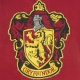 Harry Potter - Bannière Gryffindor 30 x 44 cm