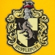 Harry Potter - Bannière Hufflepuff 30 x 44 cm