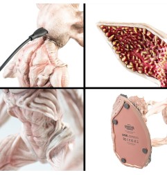 Stranger Things - Lampe avec USB-C Demogorgon