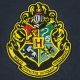Harry Potter - Bannière Hogwarts 30 x 44 cm