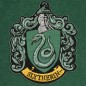 Harry Potter - Bannière Slytherin 30 x 44 cm Harry Potter - Bannière Slytherin 30 x 44 cm