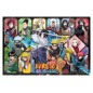 Naruto - Puzzle Naruto Shippuden Ver. D
