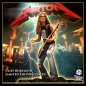 Metallica - Statuette Rock Iconz Metallica Cliff Burton II 22 cm