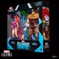 Marvel - Inhumans Legends Action Figure 2-Pack 's Medusa & 's Gorgon 15 cm Marvel - Inhumans Legends Action Figure 2-Pack 's Medusa & 's Gorgon 15 cm