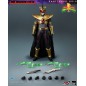 Power Rangers - Mighty Morphin  Shattered Grid  FigZero Action Figure 1/6 Lord Drakkon Evo III 30 cm