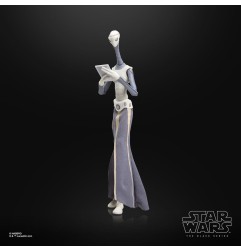 Star Wars - Episode II Black Series Action Figure Taun We 15 cm